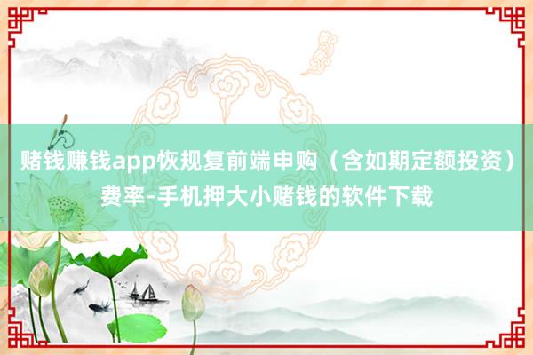 赌钱赚钱app恢规复前端申购(含如期定额投资)费率-手机押大小赌钱的软件下载