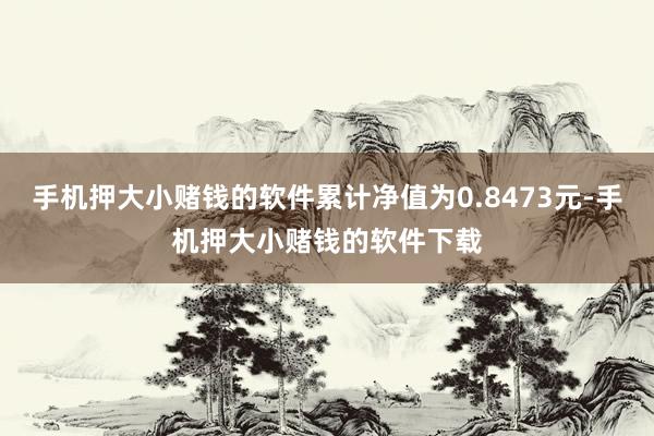 手机押大小赌钱的软件累计净值为0.8473元-手机押大小赌钱的软件下载