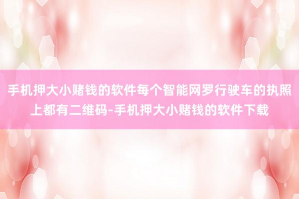 手机押大小赌钱的软件每个智能网罗行驶车的执照上都有二维码-手机押大小赌钱的软件下载
