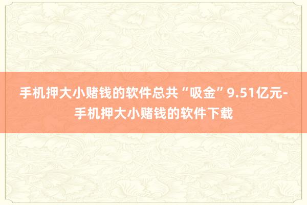 手机押大小赌钱的软件总共“吸金”9.51亿元-手机押大小赌钱的软件下载