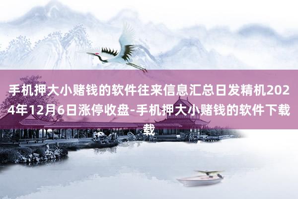 手机押大小赌钱的软件往来信息汇总日发精机2024年12月6日涨停收盘-手机押大小赌钱的软件下载
