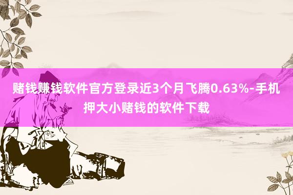 赌钱赚钱软件官方登录近3个月飞腾0.63%-手机押大小赌钱的软件下载