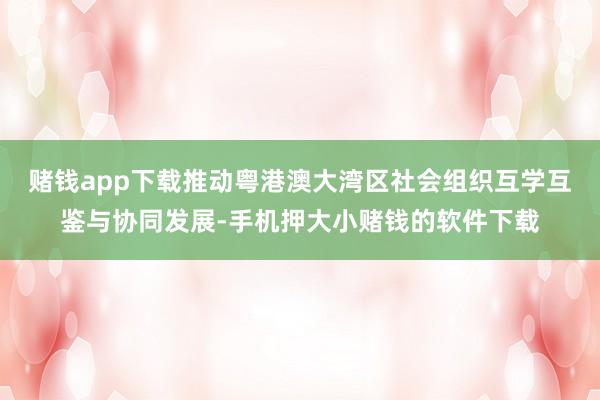 赌钱app下载推动粤港澳大湾区社会组织互学互鉴与协同发展-手机押大小赌钱的软件下载