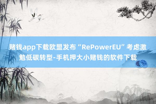 赌钱app下载欧盟发布“RePowerEU”考虑激勉低碳转型-手机押大小赌钱的软件下载