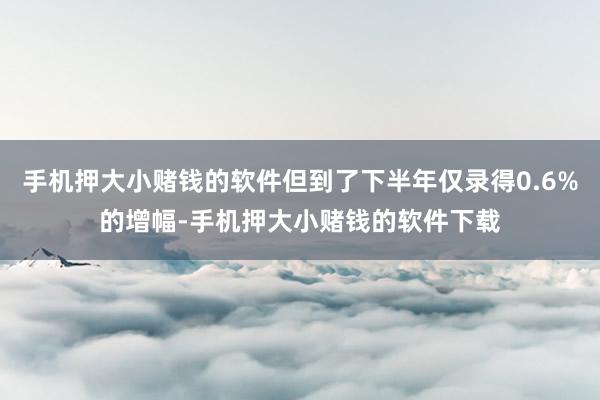 手机押大小赌钱的软件但到了下半年仅录得0.6%的增幅-手机押大小赌钱的软件下载