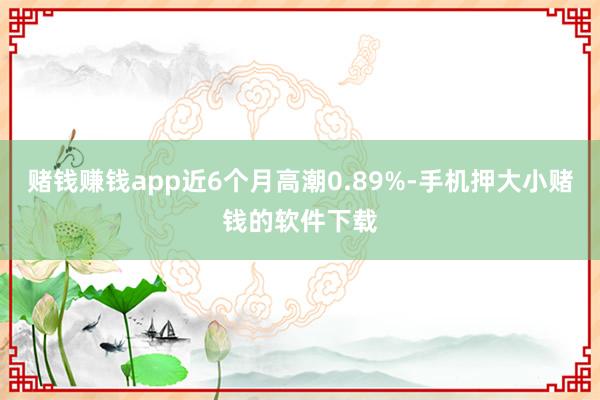 赌钱赚钱app近6个月高潮0.89%-手机押大小赌钱的软件下载