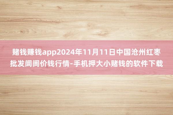 赌钱赚钱app2024年11月11日中国沧州红枣批发阛阓价钱行情-手机押大小赌钱的软件下载