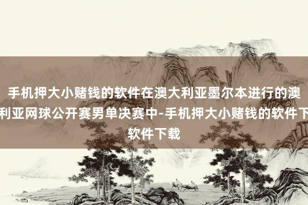 手机押大小赌钱的软件在澳大利亚墨尔本进行的澳大利亚网球公开赛男单决赛中-手机押大小赌钱的软件下载