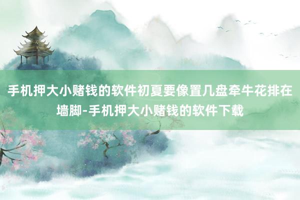 手机押大小赌钱的软件初夏要像置几盘牵牛花排在墙脚-手机押大小赌钱的软件下载