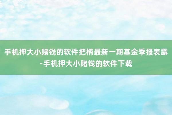 手机押大小赌钱的软件把柄最新一期基金季报表露-手机押大小赌钱的软件下载