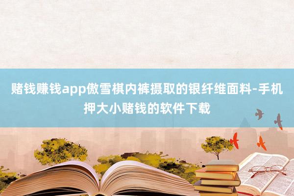 赌钱赚钱app傲雪棋内裤摄取的银纤维面料-手机押大小赌钱的软件下载
