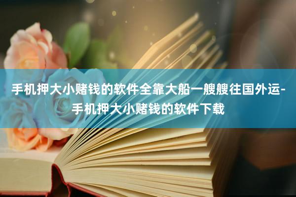 手机押大小赌钱的软件全靠大船一艘艘往国外运-手机押大小赌钱的软件下载