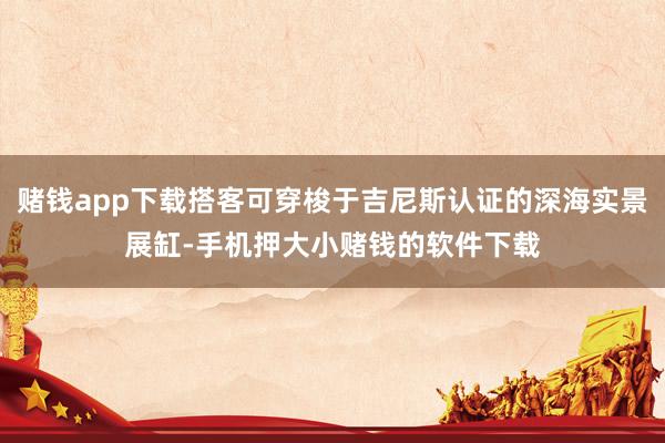 赌钱app下载搭客可穿梭于吉尼斯认证的深海实景展缸-手机押大小赌钱的软件下载